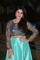 Nikki Galrani Photo Gallery